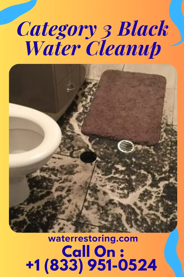 Category 3 Black Water Cleanup in Wildwood, KY